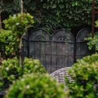 Fleur De Lys Firescreen Black