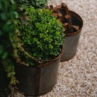 Set of 3 Bucket Planters Zinc
