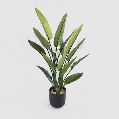 Strelitzia Real Touch 80cm