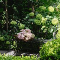 Ivy Foldable Garden Bench Black