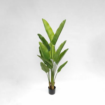 Bird of Paradise Real Touch 160cm