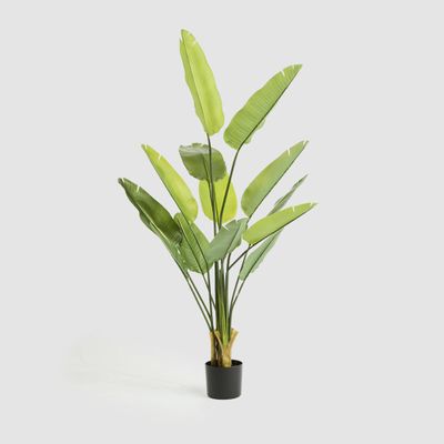 Bird of Paradise Real Touch 160cm
