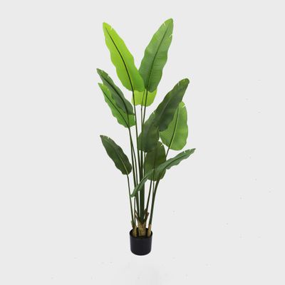Bird of Paradise Real Touch 210cm