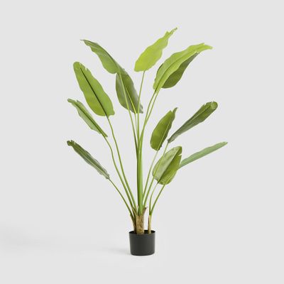 Bird of Paradise Real Touch 210cm