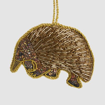 Patrick The EchidnaDecoration