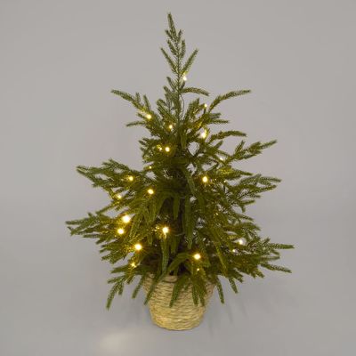 Soft-Touch Potted Light Up Tree with Basket 60cm