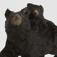 Cocoa Mumma Bear & Cub