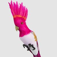 Razzle Crested Bird Fuchsia
