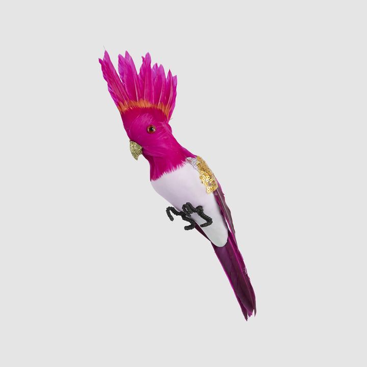 Razzle Crested Bird Fuchsia