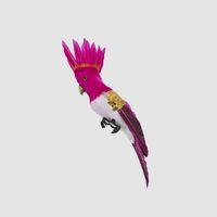 Razzle Crested Bird Fuchsia