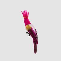Razzle Crested Bird Fuchsia