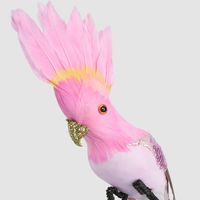 Razzle Crested Bird Pink