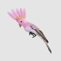 Razzle Crested Bird Pink