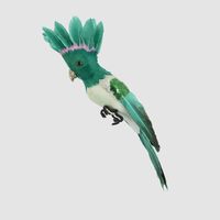 Razzle Crested Bird Green