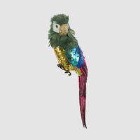 Huffer Parrot Green Crest