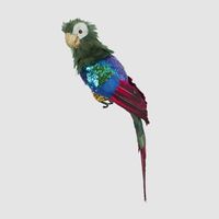 Huffer Parrot Green Crest