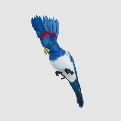 Razzle Crested Bird Blue