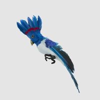 Razzle Crested Bird Blue