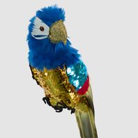 Huffer Parrot Blue Crest