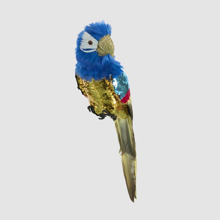 Huffer Parrot Blue Crest