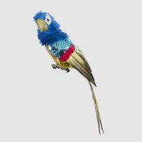 Huffer Parrot Blue Crest