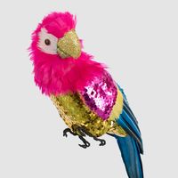 Huffer Parrot Red Crest