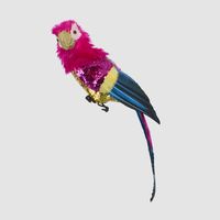 Huffer Parrot Red Crest