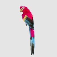 Estofar Parrot Fuchsia Crest