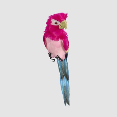 Estofar Parrot Fuchsia Crest