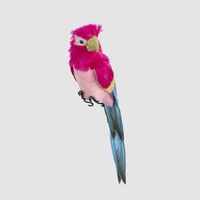 Estofar Parrot Fuchsia Crest