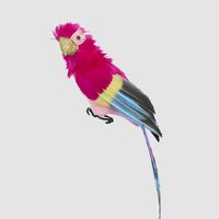 Estofar Parrot Fuchsia Crest