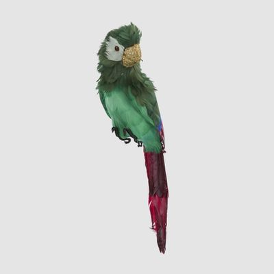 Estofar Parrot Green Crest