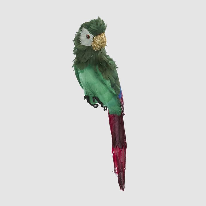 Estofar Parrot Green Crest