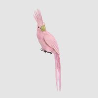 Pink Parrot