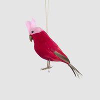 Efina Hanging Budgie Red