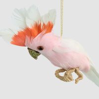 Hector Hanging Galah White