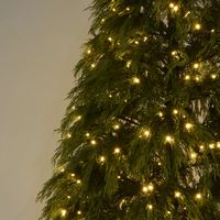 Australiana Light Up Tree 210cm with 756 LED with Foot Pedal