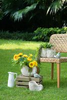 Nautica Shell Sculpture