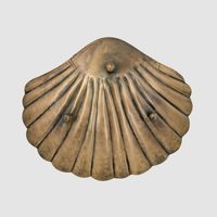 Bree Shell Ornaments