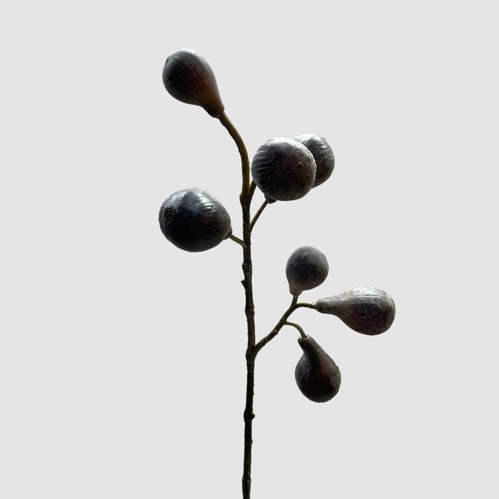 Fig Spray Brown 63cm