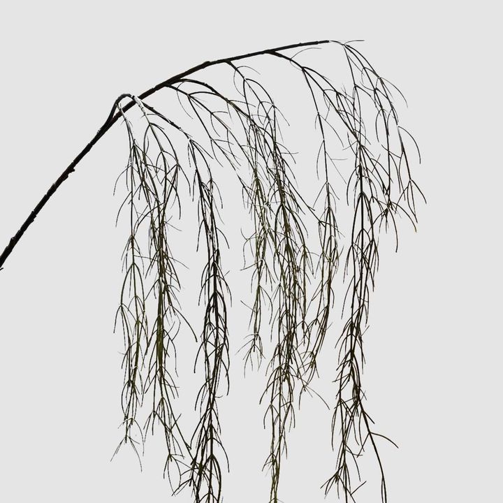 Coral Grass Green 156cm