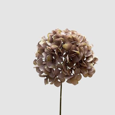 Hydrangea Mauve 72cm