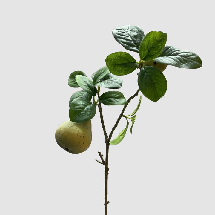 Pears Branch Spray Green 60cm
