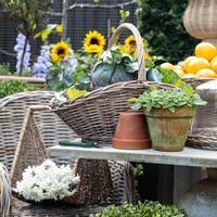 PROVENDER BASKET S/2