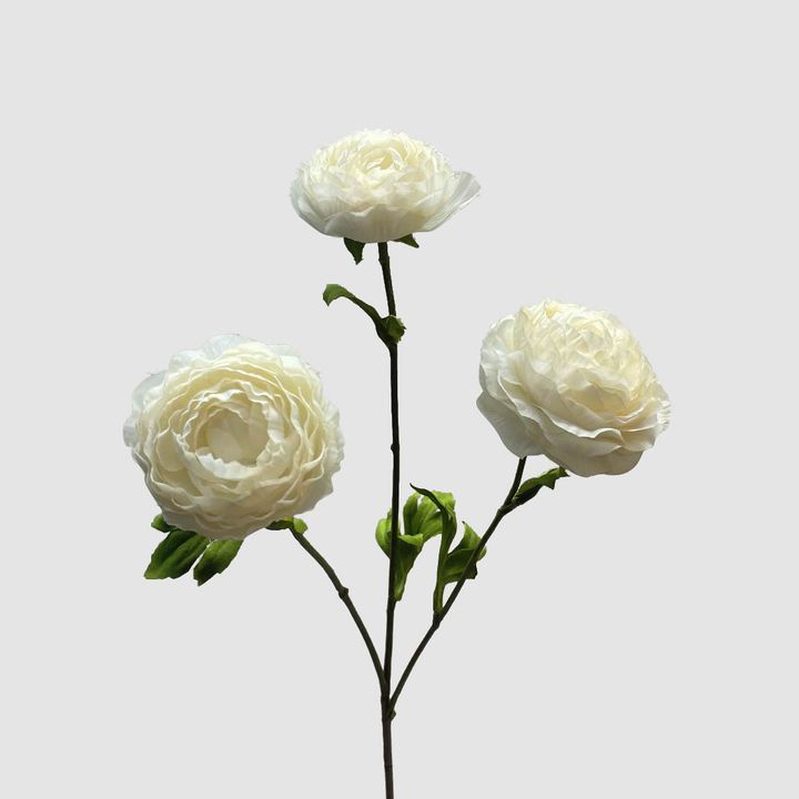 Ranunculus White 60cm