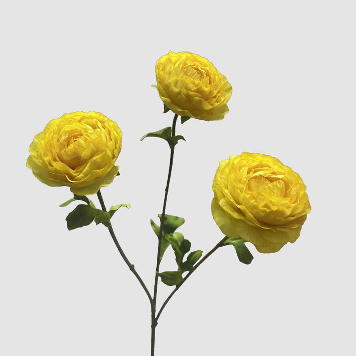 Ranunculus Yellow 60cm