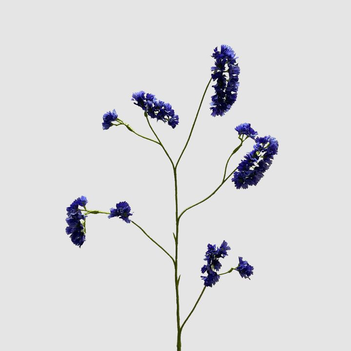 Rosemary Lavender 92cm