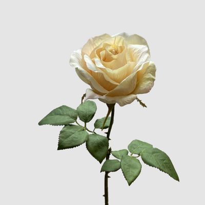 Rose Spray Peach 53cm