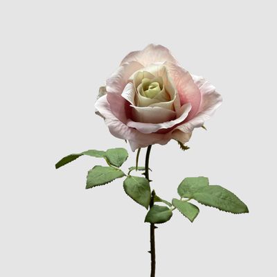 Rose Spray Pink 53cm