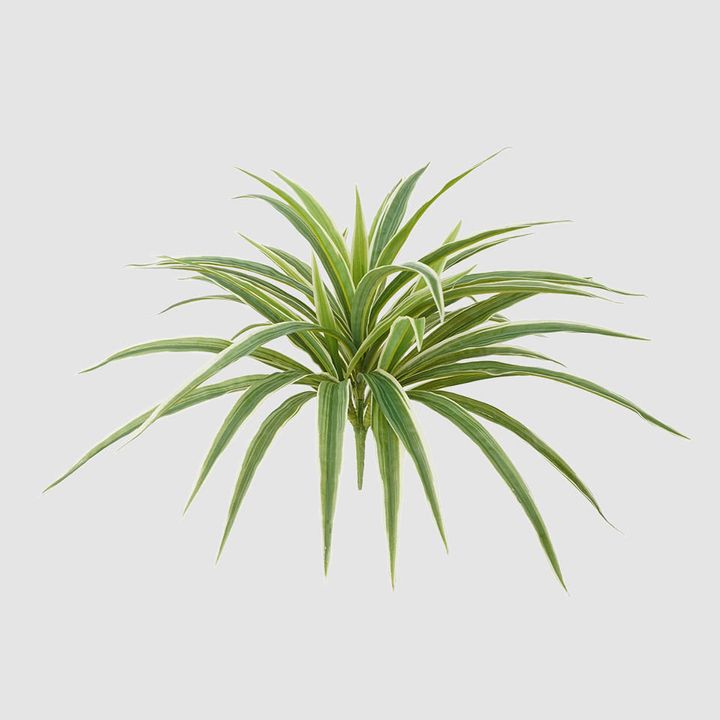 Real Touch Dracaena Bush Green 43cm